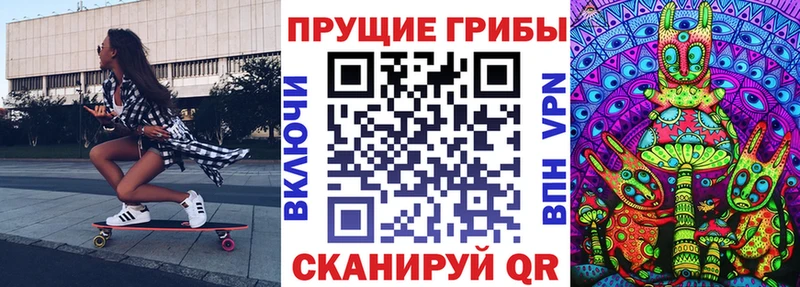 Псилоцибиновые грибы GOLDEN TEACHER  Купить где  Гурьевск 